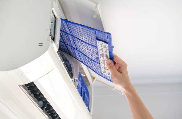 Best Professional Duct Cleaning Services  in Dundas, MN
